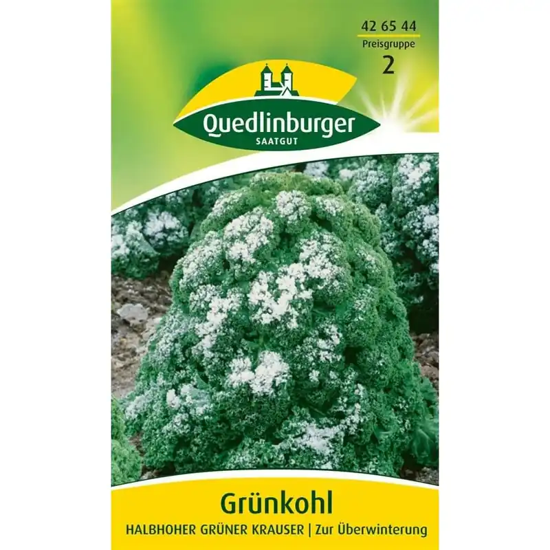 Kostenfreie Lieferung Grünkohl, Halbhoher, Krauser, Wintergemüse